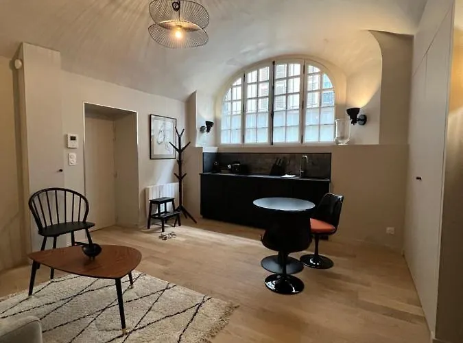 Lucas II Appartement 35 M2 Hotel Particulier XVII Ieme Siecle Centre Historique Clermont-Ferrand Cathedrale